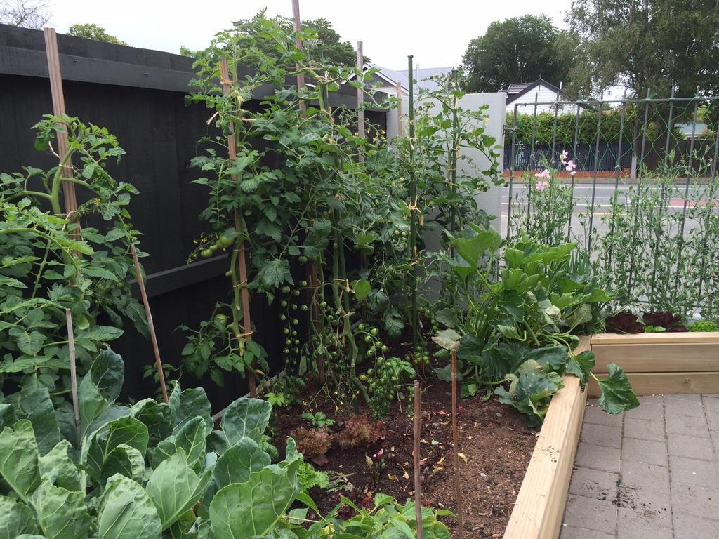 كريستتشيرش Garden Bed And Breakfast المظهر الخارجي الصورة