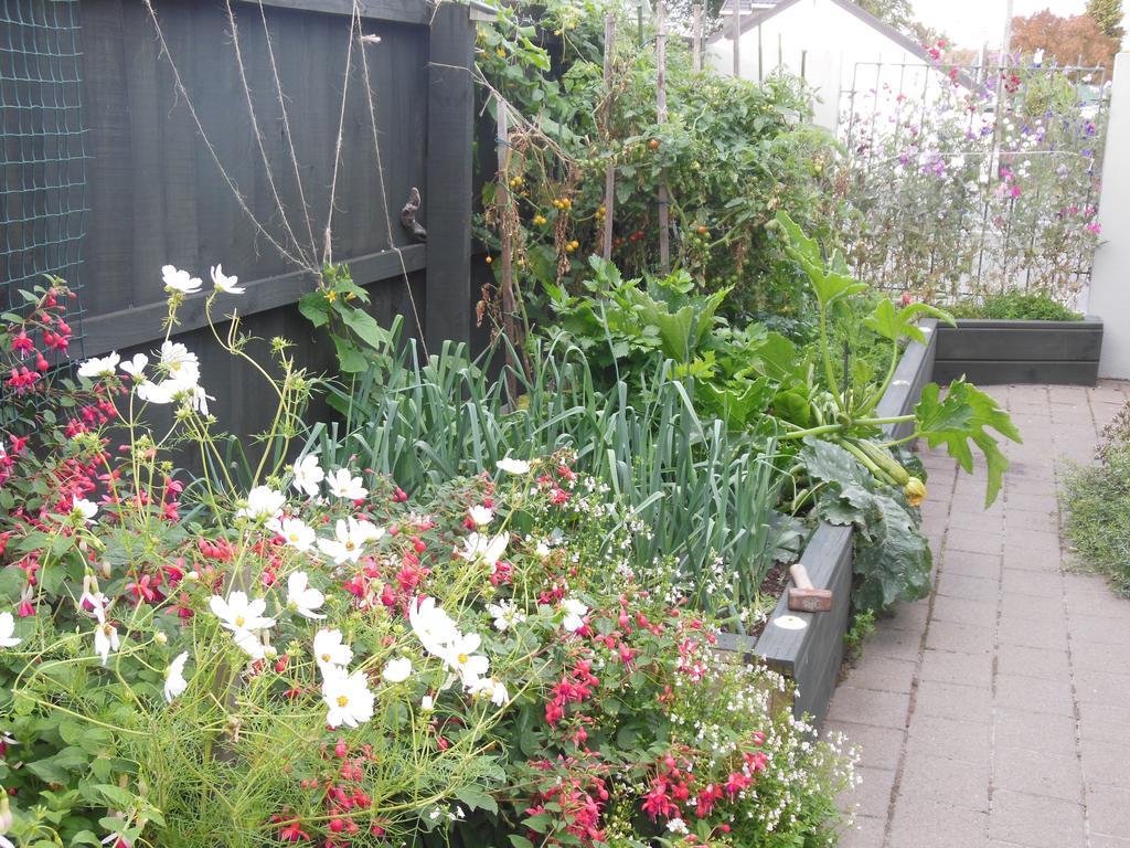 كريستتشيرش Garden Bed And Breakfast المظهر الخارجي الصورة