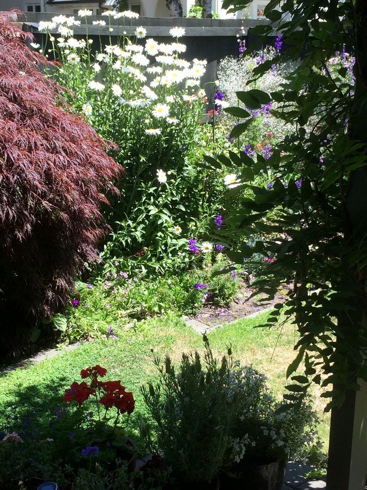 كريستتشيرش Garden Bed And Breakfast المظهر الخارجي الصورة